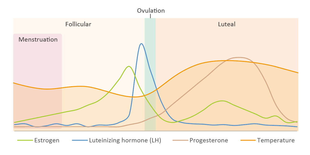 hormonal changes