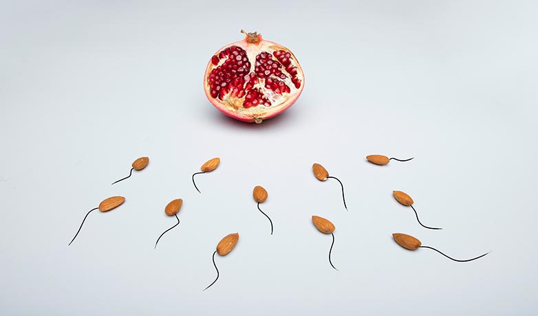 almond and pomegranate for sperm and egg metaphor