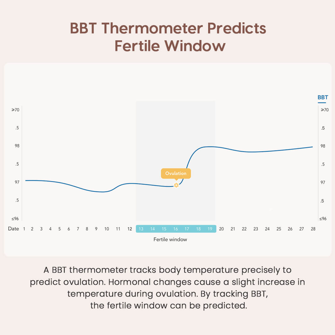 Femometer: test ovulazione, app e temperatura basale, come funziona? -  Periodo Fertile