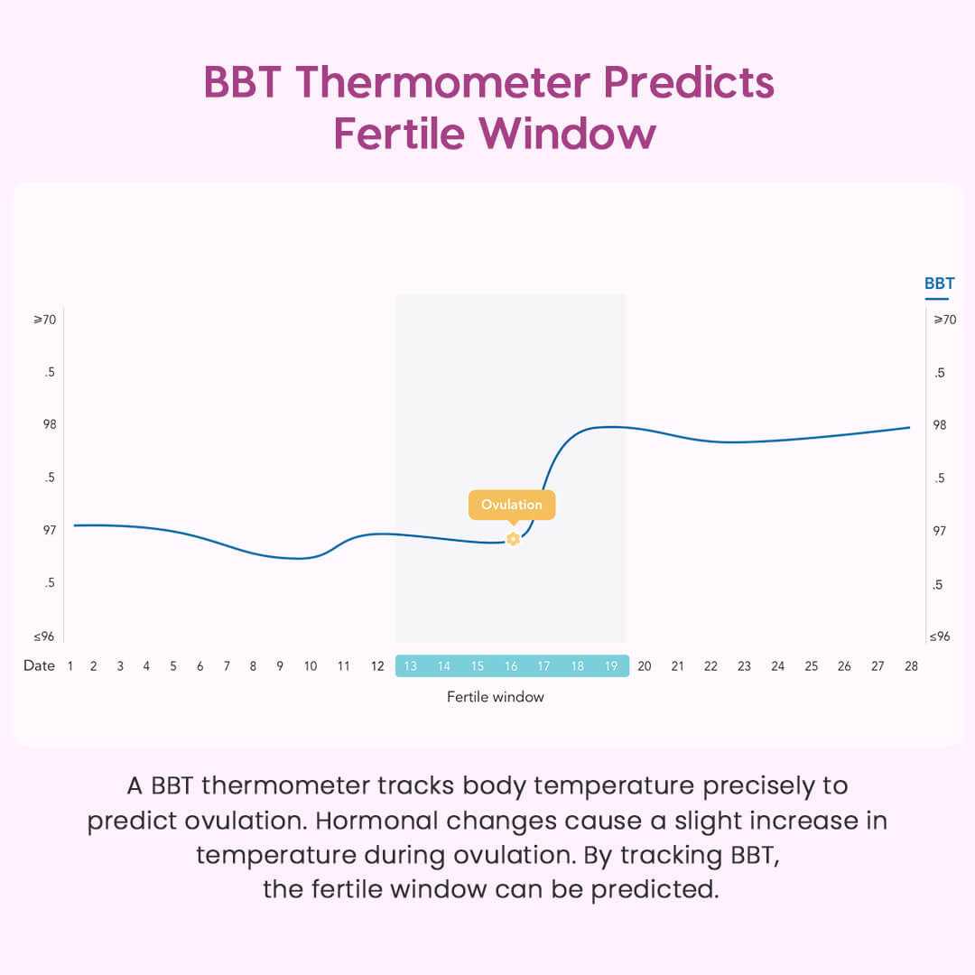 Femometer - Einfaches Basalthermometer ⋆ Babybauchshop