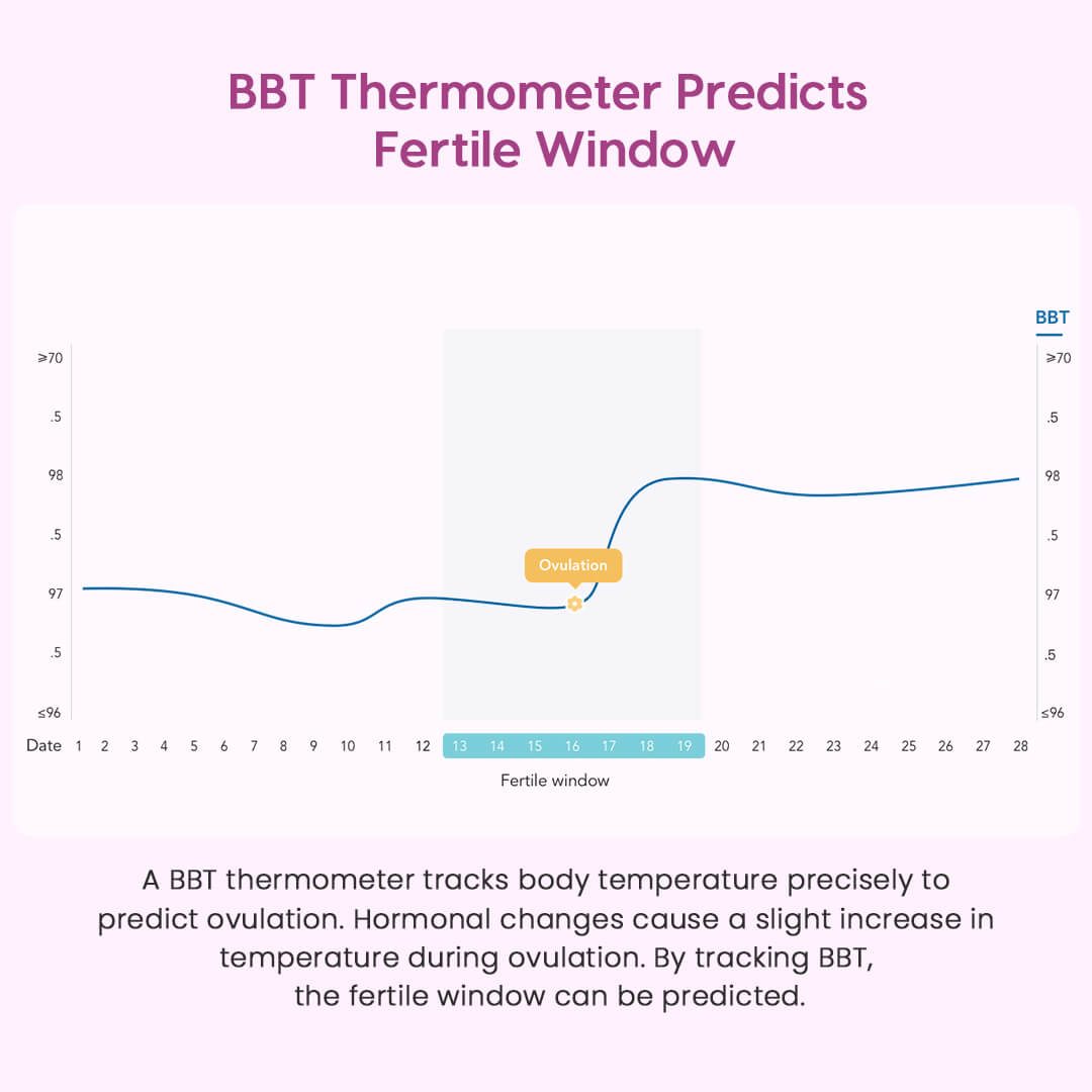 Basal Thermometer for Ovulation Tracking + free app (iOS & Android) from  OVY Perfect for Natural Family Planning, Fertility Test & Baby Thermometer  : : Health & Personal Care