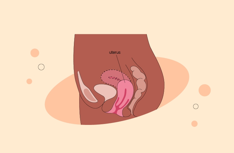 Uterine Prolapse causes  symptoms  and treatment page