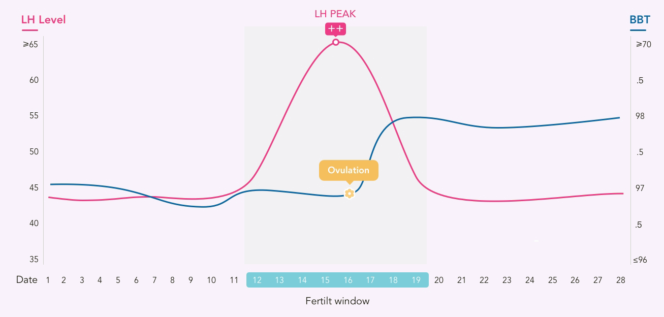 Menstrual Cycle and Ovulation Tracking