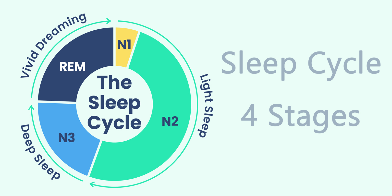 sleep cycle